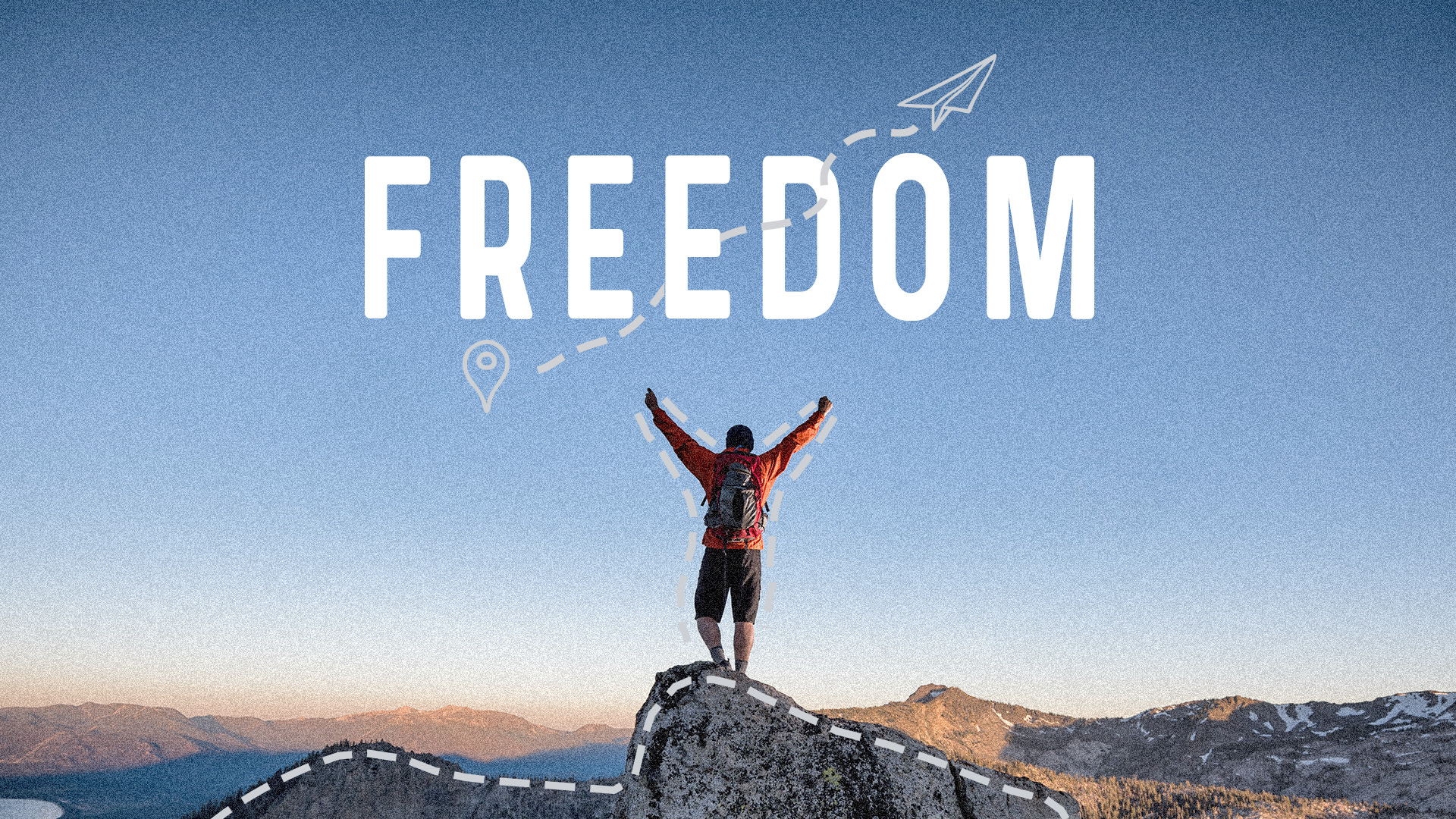 FreedomStudy.png