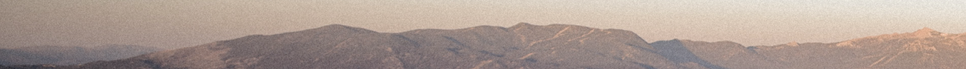 2020FreedomFooter.png